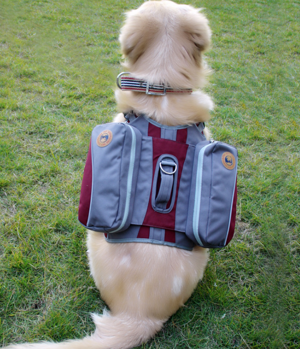 Mochila de Viaje Portátil con Bolsa Desmontable para Mascotas