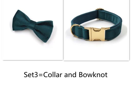 Collar y Correa para Mascotas Terciopelo Verde Esmeralda con Herrajes Dorados - Image 10