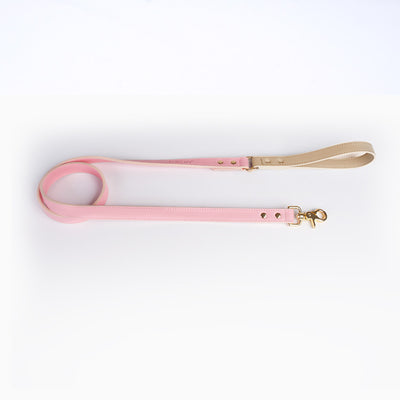 Juego de Collar y Correa para Perro en Cuero Premium - Image 12