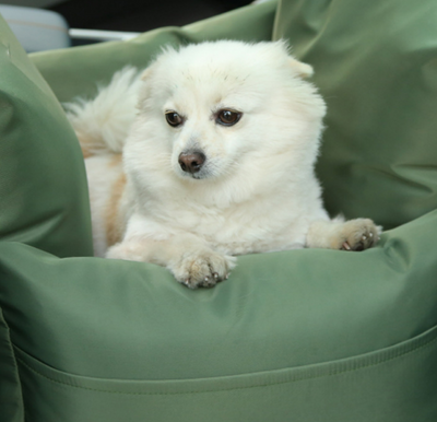 Cama Nido Dual para Auto - Cojín Ajustable para Perros y Gatos