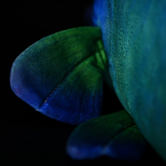 Peluche Pez Luna Realista con Labios Ondulados - Image 9