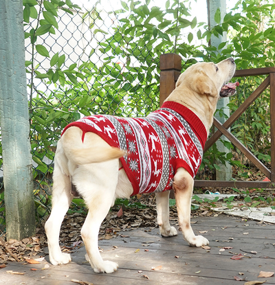 Suéter Cálido de Algodón para Perros - Abrigo Otoño e Invierno - Image 13
