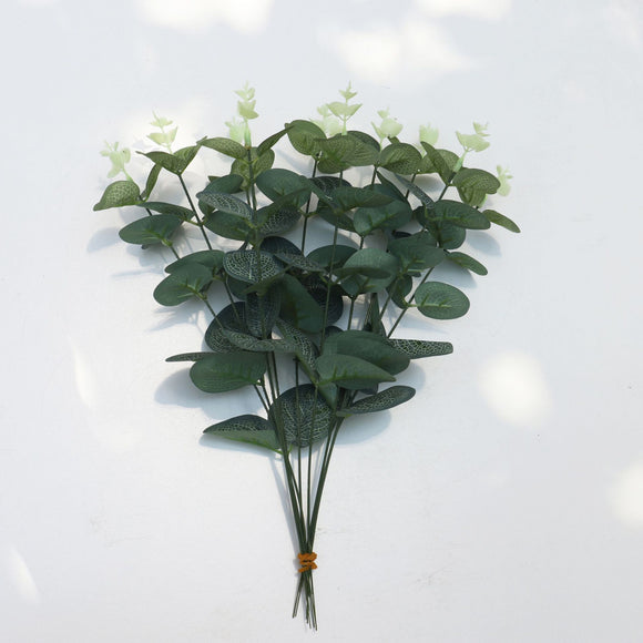 Arreglo Floral en Maceta - Planta Dinero Verde Elegante para Eventos
