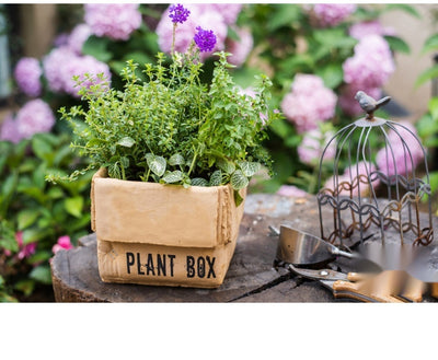 Maceta Creativa de Papel Cemento para Plantas de Interior y Balcón - Image 27