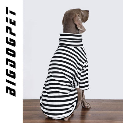 Ropa para Perros Grandes - Chaleco Delgado Transpirable - Image 5