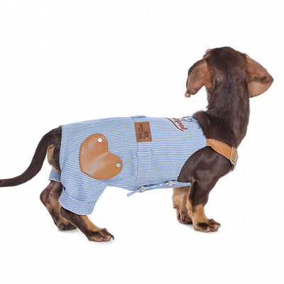 Pantalones Vaqueros con Tirantes para Perros Pequeños - Diseño Versátil Cuatro Estaciones - Image 11