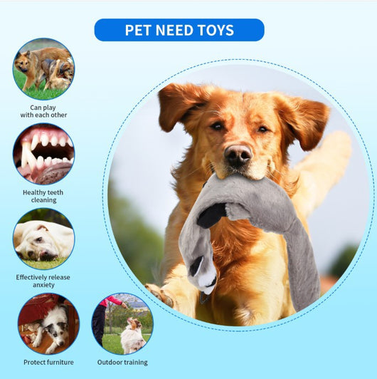 Telescopic dog teasing rod toy with black foam grip and multiple colorful rope attachments, including a carrying bag. - Image 11