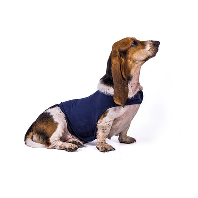 Chaleco Calmante para Mascotas - Ropa Antiansiedades - Image 3