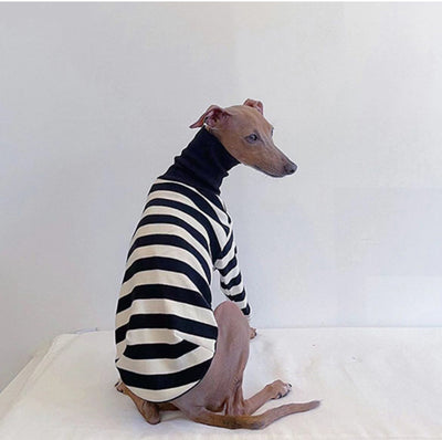 Suéter Rayas Cuello Alto Algodón Stretch para Perros - Image 13