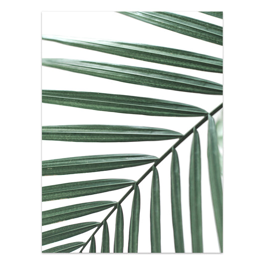 Póster de Plantas Tropicales Estilo Nórdico - Lámina de Hojas Verdes - Image 20