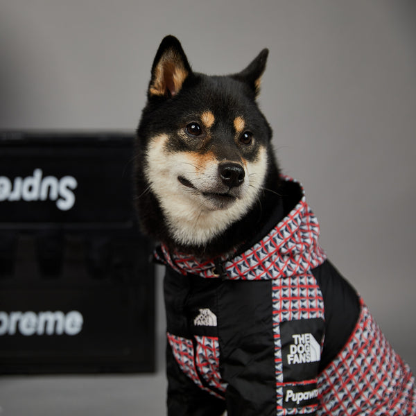 Impermeable para Perros Resistente al Viento y la Lluvia