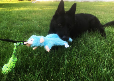 Vara Extensible de Adiestramiento para Perros con Diseño Divertido - Image 19