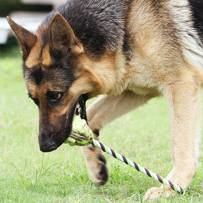 Juguetes de Cuerda con Nudos para Perros - Juego Interactivo de Tracción - Image 4