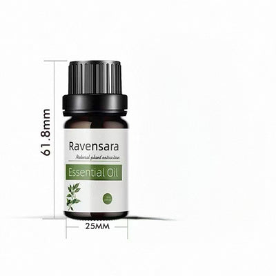 Aceite Corporal Esencial con Rosa Preservada y Té Blanco - Image 17