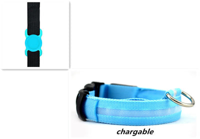 Collar Luminoso LED Transparente para Perros - Protección Nocturna Antiextravío - Image 17