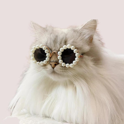 Gafas de Sol Pearl para Mascotas - Accesorios Divertidos y Elegantes para Disfraz de Fiesta - Image 4