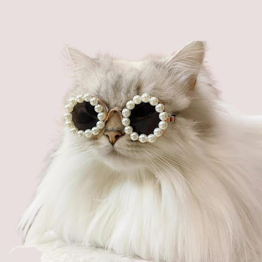 Gafas de Sol Pearl para Mascotas - Accesorios Divertidos y Elegantes para Disfraz de Fiesta - Image 4