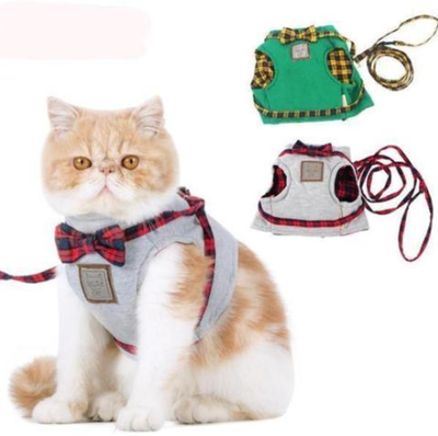 Arnés para Gatos Kitty - Seguridad y Comodidad - Image 3