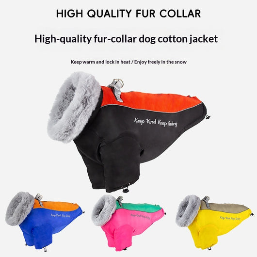Abrigo Térmico Impermeable para Perros Grandes - Protección Total contra Frío