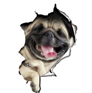 Pegatinas 3D de Animales para Pared