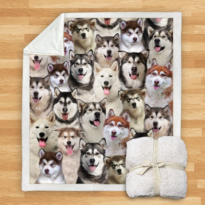 Manta Franela Estampada para Perros - Image 3