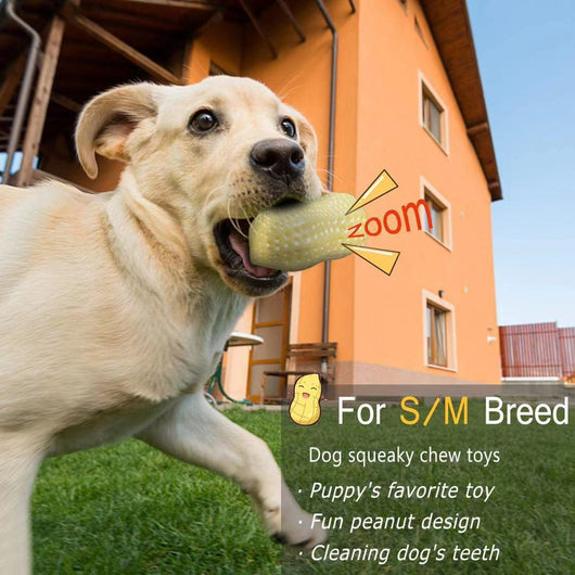Juguete Masticable para Perros Pequeños y Medianos - Juguete Interactivo Resistente con Forma de Cacahuete - Image 5