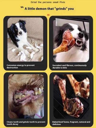 Juguete Masticable para Limpiar Dientes de Cachorros y Perros Pequeños - Image 14