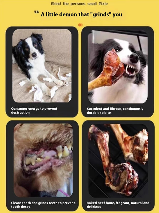 Juguete Masticable para Limpiar Dientes de Cachorros y Perros Pequeños - Image 14
