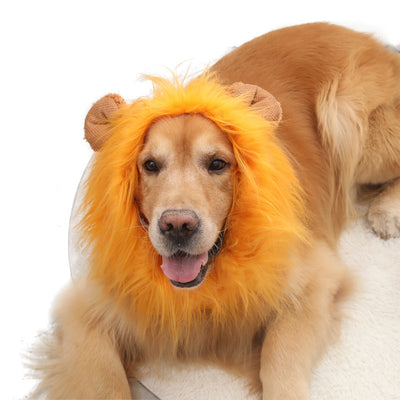 Peluca de León para Perros - Gorro Divertido y Cómodo - Image 10