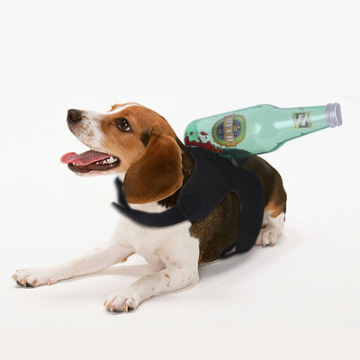 Ropa divertida de Halloween para mascotas - Image 5