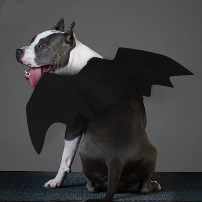 Alas de Murciélago para Perros - Disfraz Gótico Ajustable