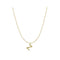 S925 sterling Plateado vintage 26 letter necklace Z