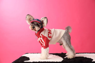 Suéter Deportivo para Perros - Cardigan Cómodo para Mascotas - Image 21