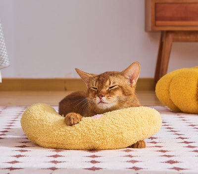 Almohada Cervical en U para Mascotas - Protección Espinal Premium - Image 3