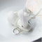 Collar Circula