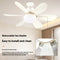 Ventilador de Techo con Luz LED Silencioso para Dormitorio y Sala