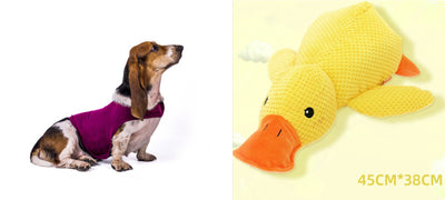 Chaleco Calmante para Mascotas - Ropa Terapéutica Antiansíedad para Gatos y Perros - Image 17