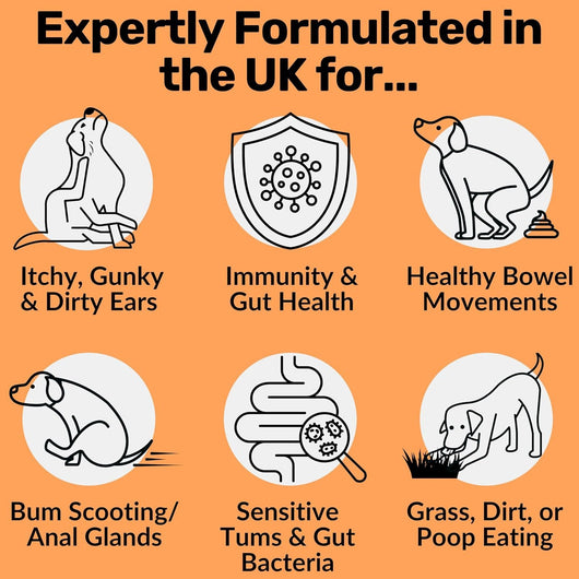 Snacks Prebióticos para Perros - Salud Digestiva e Intestinal - Image 12