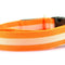 Laranja L 1