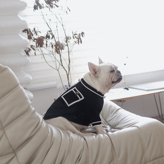 Suéter Cálido Estilo Campestre para Perros Pequeños - Image 16