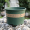 Army Green - L