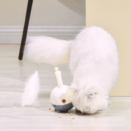 Juguete Interactivo Automático para Gatos con Temporizador y Recarga USB - Image 6
