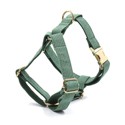 Chaleco de Pecho para Perro en Pana con Letras Láser - Image 8