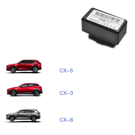 Organizador de Tesoro para Auto - Image 11