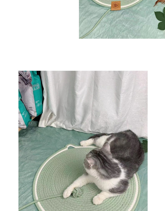 Nido de Ratán para Gatos Resistente sin Pelusa - Image 20