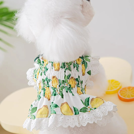 Falda Arnés Transpirable para Perros - Ropa Ligera y Cómoda