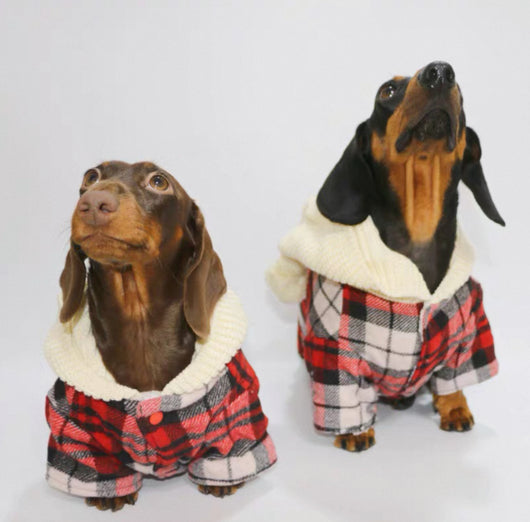 Camisa Cuadriculada para Perros - Ropa Adorable y Cómoda