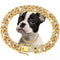 Collar Cadena Cubana de Diamantes para Perros y Gatos - Pequeño, Mediano y Grande
