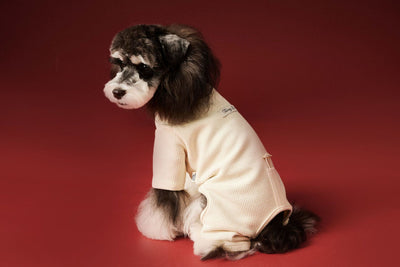 Ropa Térmica para Perros - Abrigo Waffle Otoño e Invierno - Image 9