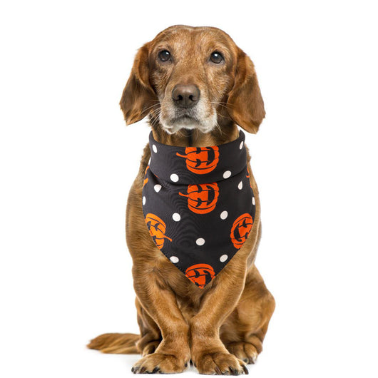 Toalla Absorbente para Mascotas Halloween - Image 47